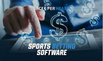 Comprehensive Betting Software Solutions Designed for Modern Bookmakers to Enhance Operations