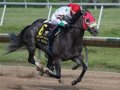 Discover the Exciting World of WillBet Casino Delaware and Its Amazing Games and Promotions