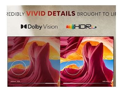 Explore the Latest Features and Benefits of WillBet TV for Ultimate Entertainment Experience