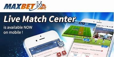 "Willbet MX - The Ultimate Online Betting Platform for MX Fans"