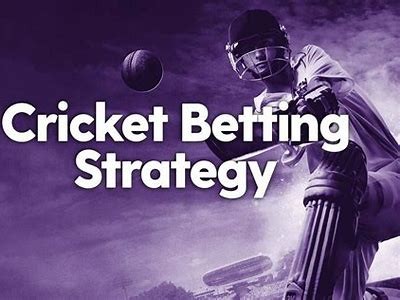 Discover the Excitement of Willbet Cricket: Your Ultimate Guide to Betting Strategies and Tips