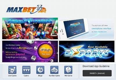 "Willbet MX - The Ultimate Online Betting Platform for MX Fans"