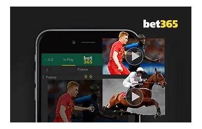 "Willbet MX - The Ultimate Online Betting Platform for MX Fans"