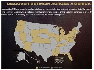 Betting on Hard Rock: The Best States to Place Your Wager